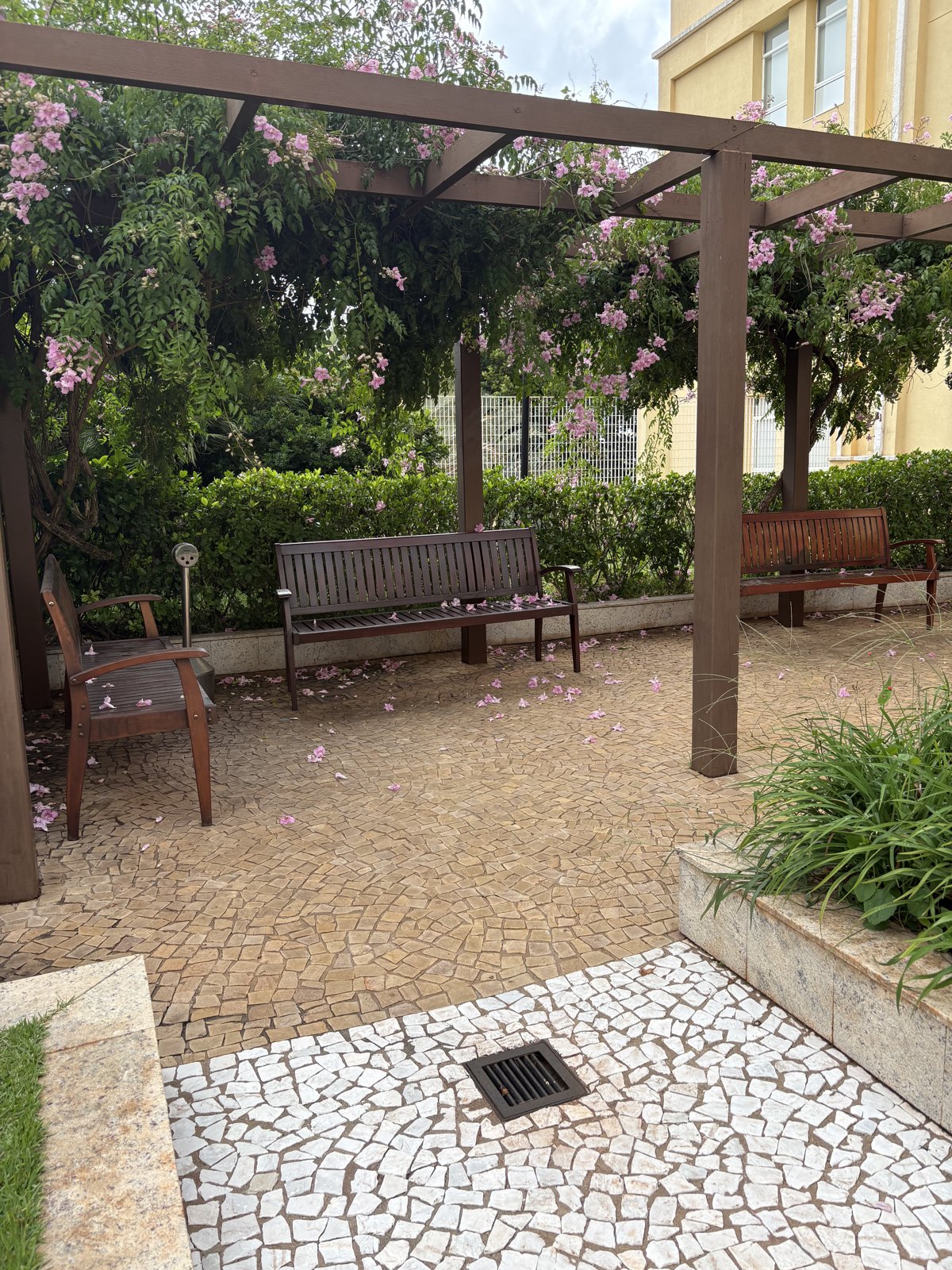 Área externa com jardim e pergolado